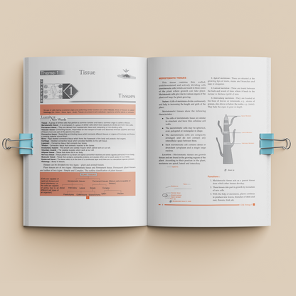 ICSE - Vedantu Tatva Practice - Grade 7 - (Math, Physics, Chemistry, Biology) + Assignment Book (Set of 5 Books) -
