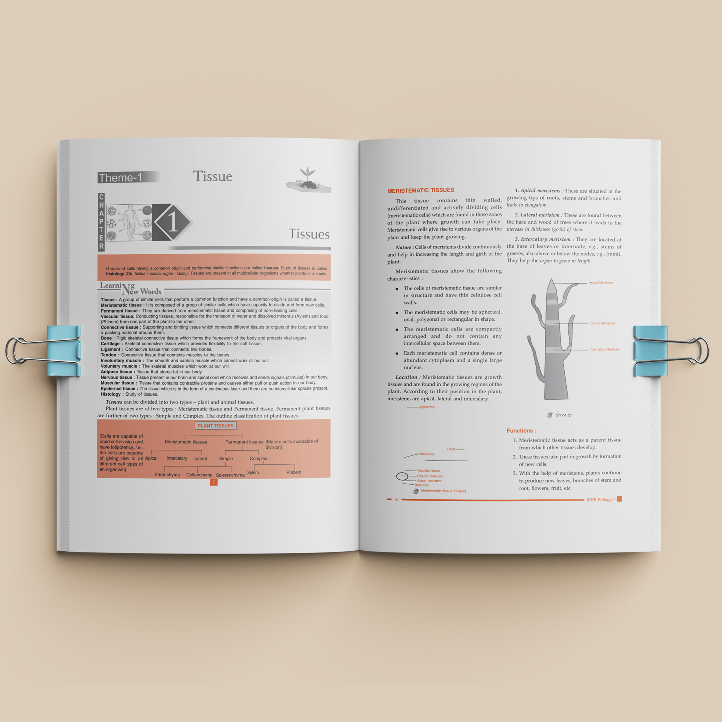 ICSE - Vedantu Tatva Practice Book - (Grade 7) - Physics, Chemistry & Biology (Coloured Books) (Set of 3 Books)